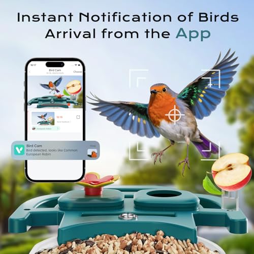 Solar Bird Feeder with AI Camera - Smart Bird Watching - Image 3