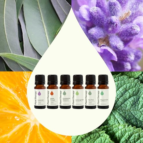 Plant Therapy Breathe Easy Essential Oil Set - 6 Pure Oils - Image 4