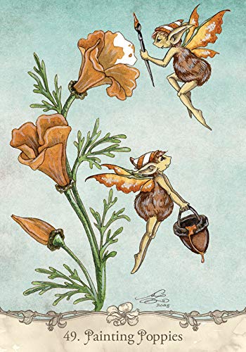 Fairy Wisdom Oracle Deck & Book Set for Guidance - Image 9