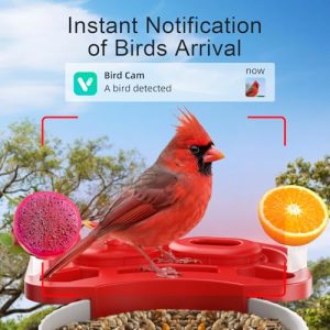 SV3C Smart Solar Bird Feeder Camera 2K AI Identify