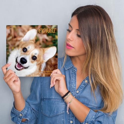 Corgi 2026 Wall Calendar - Family Planner for Dog Lovers - Image 6