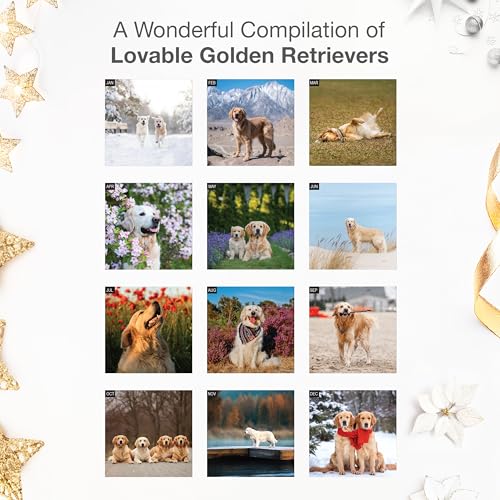 RED EMBER Golden Retrievers 2026 Wall Calendar, 12"x24" - Image 4