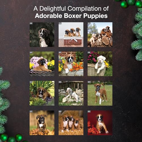 MICASA PRESS Boxer Puppies 2026 Wall Calendar - Image 3