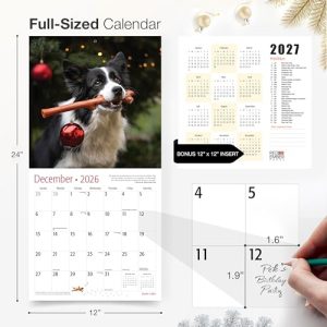 RED EMBER Border Collies 2026 Wall Calendar (12″x24″ Open)