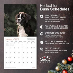 MICASA PRESS Boxer Puppies 2026 Wall Calendar
