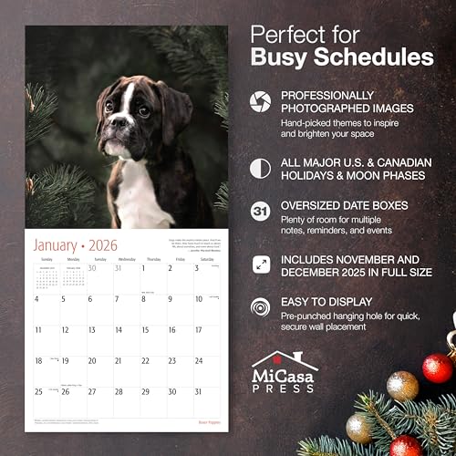 MICASA PRESS Boxer Puppies 2026 Wall Calendar - Image 2