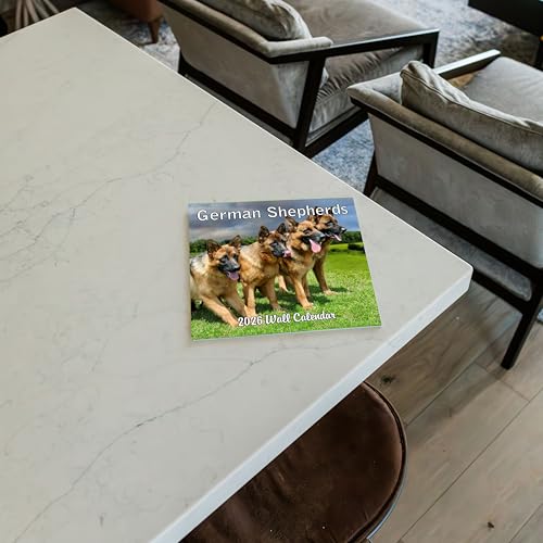 German Shepherds 2026 Monthly Wall Calendar - Image 7