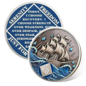 Braving The Storm 7-Year Sober Coin – Recovery Chip