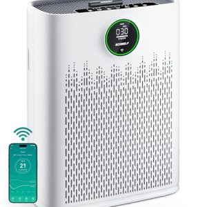 ECOSELF Smart Air Purifier for Large Rooms – WiFi & Aromatherapy