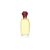 Paul Sebastian DESIGN Perfume – Elegant Floral Women’s Gift