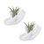 Ourhommie Air Plant Holder – 2 PCS