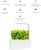 Click & Grow Indoor Herb Garden Kit: Fresh Herb Lover’s Dream