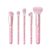 wet n wild Hello Kitty 5-Piece Makeup Brush Set