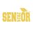 Senior 2024 Iron-On Decal – Graduation Shirt Transfer