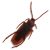 Fake Roaches Prank Set: Realistic Bug Gag for All Ages