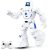 BAZOLOTA Programmable RC Robot Toy for Kids 3-12