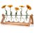 Tigvio Retro Wood Stand Plant Terrarium