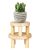 Small Wood Plant Stand Stool – 2 Pack