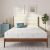 NapQueen Twin 8in Green Tea Memory Foam Mattress