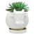 GeLive White Cow Ceramic Succulent Pot