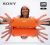 Sony ULT FIELD 1 – Wireless Ultra Portable Bluetooth Speaker