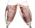 Mr Mrs Twisty Stem Champagne Flutes Set – Engraved Pair