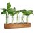 Renmxj Plant Propagation Station with Wooden Stand