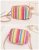 2024 Small Straw Crossbody Bag