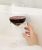 SipCaddy Shower Beer & Bath Wine Holder