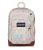 JanSport Cool Backpack: 15-inch Laptop Sleeve & Storage