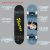 Standard Skateboards for Kids – 31”x 8” Canadian Maple