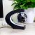 MOKOQI Magnetic Levitating Globe with LED Light