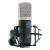 Roswell Mini K47 Large Diaphragm Condenser Microphone