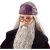 Mattel Harry Potter Albus Dumbledore Doll: Wizarding Collectible