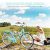 Women’s Beach Cruiser Bike – 26 Inch Adjustable Seat