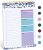 VioletBloom Undated To Do List Pad – Daily Planner (52 Sheets)