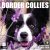 RED EMBER Border Collies 2026 Wall Calendar (12″x24″ Open)