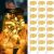 litogo 24-Pack Warm White Mini LED Fairy Lights