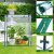 Ohuhu Mini Greenhouse: Portable Indoor & Outdoor Plant Haven
