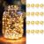 LEDIKON 16-Pack 10ft 30 LED Warm White Fairy Lights