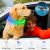 Dlitk Multi-Color LED Dog Collar