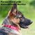 Personalized Reflective Neoprene Dog Collar: Safety and Comfort