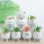 ARTKETTY 8 Pcs Cartoon Animal Succulent Pots