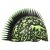 Raskullz T-Rex Bonez Mohawk Helmet (3+ Yrs) 48-52cm