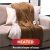 Sunbeam Royal Mink Sherpa Heated Personal Throw – Honey