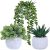 Winlyn 3 Pcs Artificial Potted Succulent Plants Decor