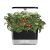 AeroGarden Harvest: Indoor Hydroponic Garden Gift