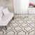 SAFAVIEH Hudson Shag Accent Rug: 4’x6′ Ivory/Beige