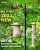 iBorn Large Hanging Bird Feeder for Cardinals