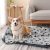 Comsmart Cute Paw Print Pet Blanket Set